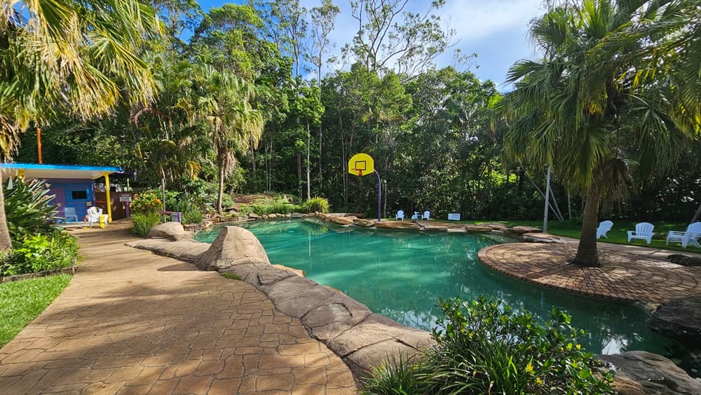 A pool bordered by large rocks with a palm tree in the middle, surrounded by bricks. A basketball board is on the other side. Plastic sun loungers are placed in the grass area and under the trees. A brick pathway leads to a colourful shade structure on the left. Trees surround the area.