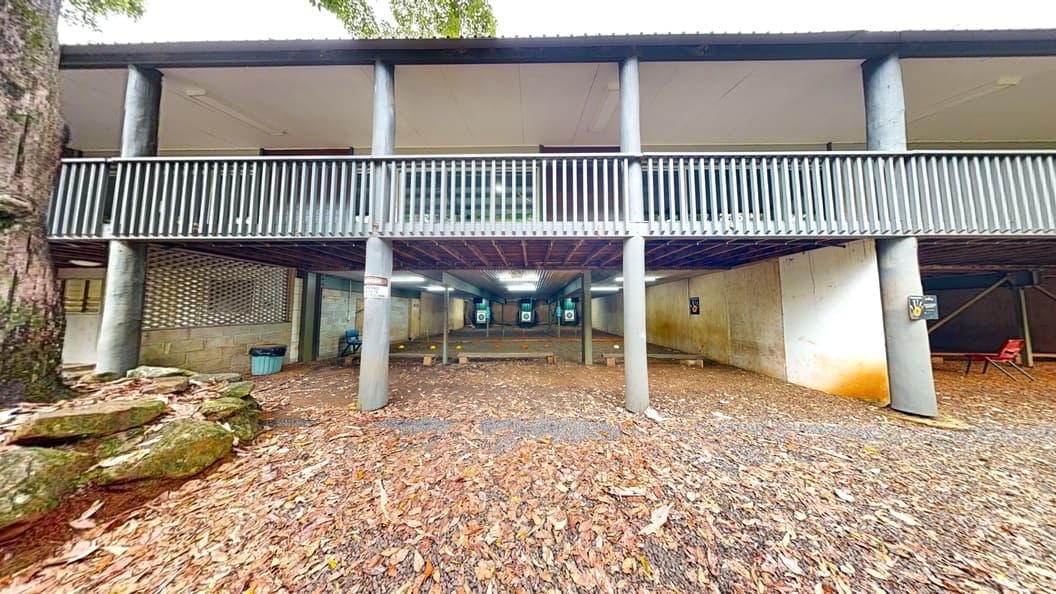 To the right of the road is a two-storey building with metal railings. Various trees, including palm trees bearing fruits, line the road and occupy the front of the building. The ground is uneven and partially covered with grass.