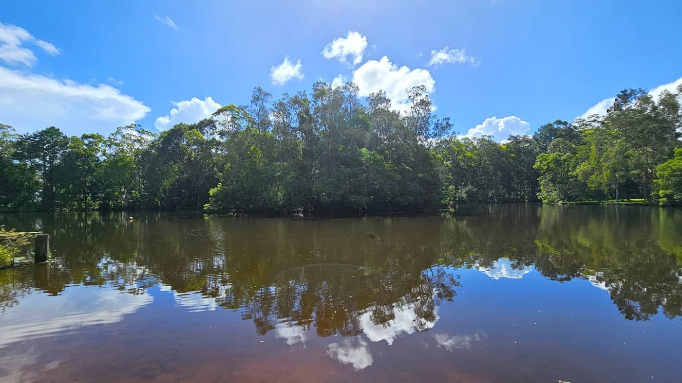 The lake is encircled by diverse trees and native grasses. Its surface mirrors the trees and the clouds above.
