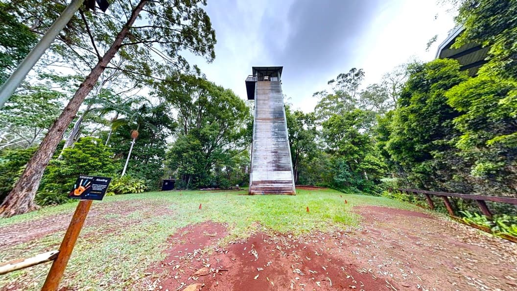 A 3-tier tower made of wooden planks and metal is positioned in the middle of a grassy area. Various trees, grass, and plants, including ferns, occupy both sides. A wooden barricade is on the left. The area features an uneven surface with partially exposed dirt.