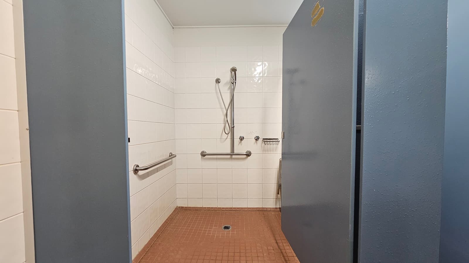 A shower with hand grabs and a soap holder mounted on the wall. White tiles cover the wall, while brown tiles adorn the floor. The ceiling is white, and the door is grey.