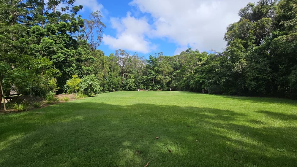 A spacious area covered with manicured grass. Various trees, plants, and native grass border the left, while more mature trees dominate the right.