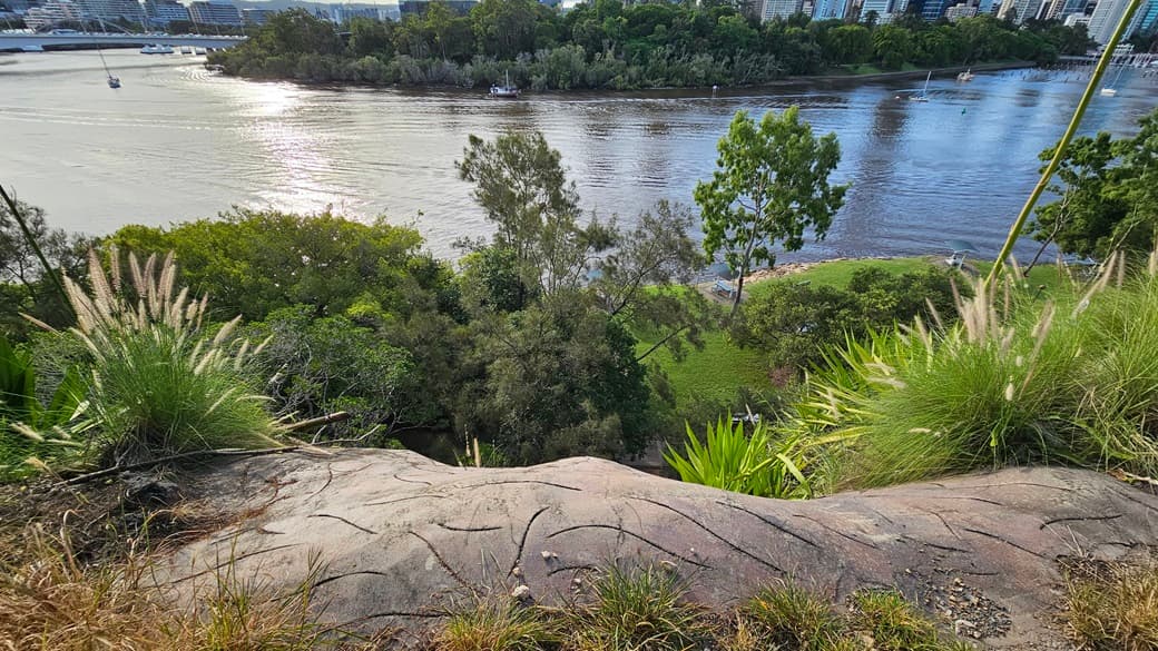A panoramic view of the river from the cliff top. The river hosts a few ferry boats. Trees and green grass line the riverbank, while skyscrapers dominate the backdrop. Trees and wild grass cover the cliff.