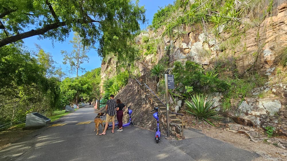To the right are concrete steps with handrails, connected to the cliff. Two individuals, a man and a woman, accompanied by a brown dog, stand nearby. The road is bordered by trees and concrete light fixtures. Two purple scooters are parked near the stairs. A directional sign is positioned at the bottom of the steps. Wild grass and trees hang from the cliff.