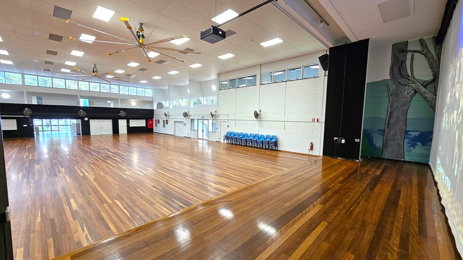 A large hall with polished wooden flooring and a high ceiling featuring multiple ceiling fans and lights. On the left, there are large windows near the ceiling allowing natural light in. The back wall has several doors and a row of blue stacked chairs. On the right, a mural of a tree is painted on the wall. The space is open and spacious, suitable for events or gatherings.