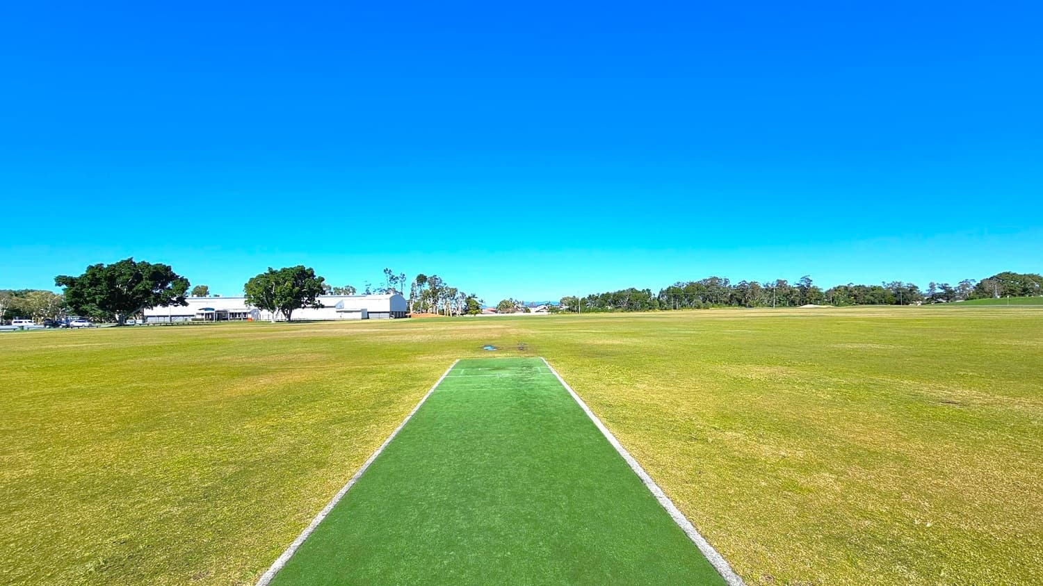 A cricket pitch with a green artificial surface is in the centre of a large grassy field. In the background, there are several trees and a few buildings, including a white structure to the left. The grass is a mix of green and brown patches, and the sky is clear and blue.
