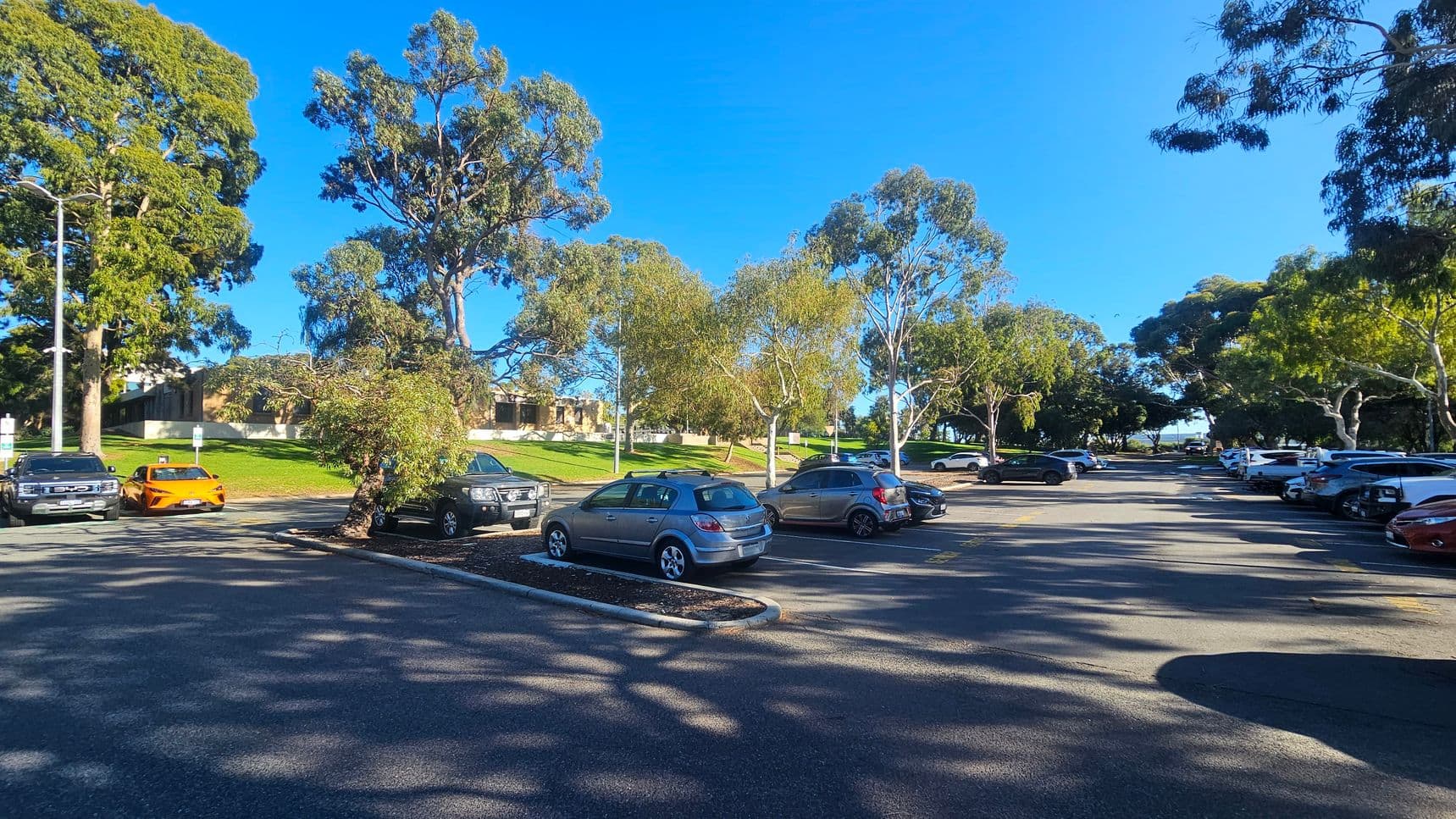 A car park with several vehicles, including a bright orange car, is surrounded by tall trees casting shadows on the ground. The left side has a row of parked cars, while the right side features more vehicles lined up. In the background, a grassy area with more trees and a building is visible. The sky is clear and blue.