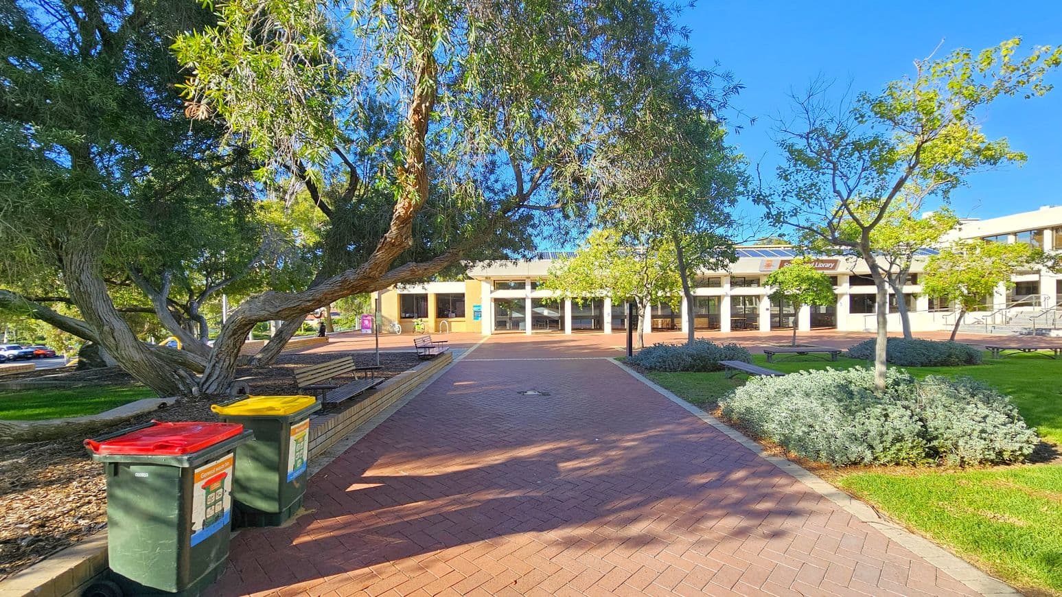 A paved pathway leads towards a building with large windows and a sign that reads "Library". On the left, there are two wheelie bins with red and yellow lids next to a wooden bench. A large tree with sprawling branches provides shade over the path. On the right, there are smaller trees and neatly trimmed bushes on a grassy area. The background features more trees and the library building, which has a modern design with a flat roof.