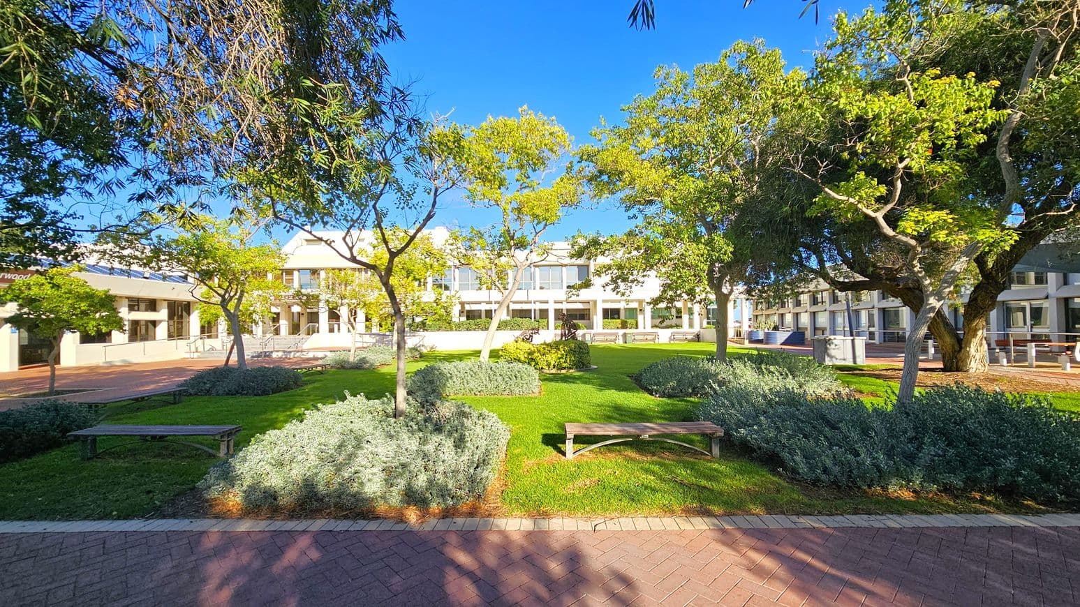 A landscaped garden with neatly trimmed grass and various shrubs in the foreground. Several trees with green foliage are scattered throughout the area. Wooden benches are placed around the garden. In the background, there is a modern building with large windows and a white facade. The ground is paved with red and grey bricks, and the area is well-lit, suggesting a sunny day.