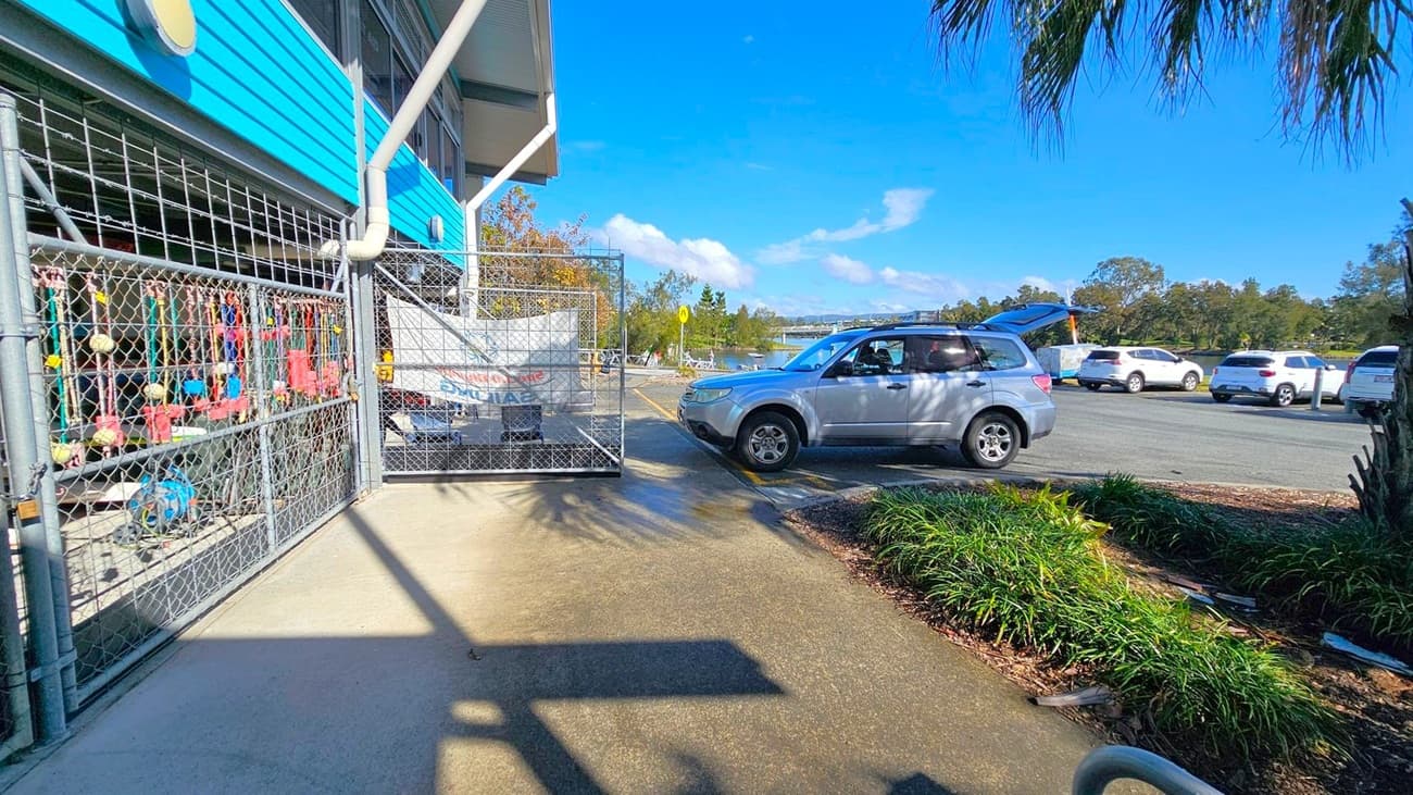 On the left, a blue building with a chain-link fence displaying various colourful items. In the middle, a silver SUV with its boot open is parked on a paved area. On the right, several white cars are parked along the road. In the background, there are trees and a body of water. The foreground features a concrete path with shadows and some green plants.