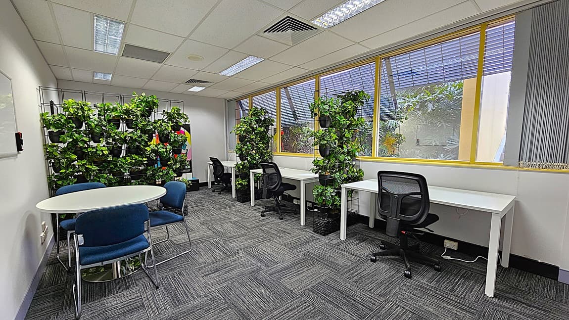 On the left, a round white table with four blue chairs and a whiteboard on the wall. In the middle, a series of vertical plant walls with green foliage, separating the seating areas. On the right, a row of white desks with black office chairs, positioned in front of large windows with yellow frames and blinds. The floor is covered with grey patterned carpet tiles. The ceiling is white with a grid pattern, recessed fluorescent lighting, and air vents.