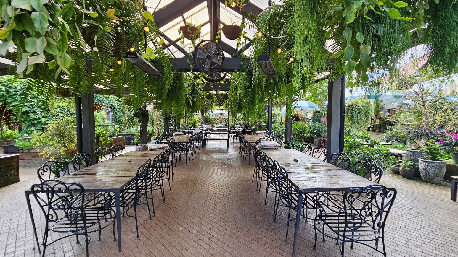 A spacious outdoor dining area with long wooden tables and ornate black metal chairs arranged in rows. Above, a glass ceiling supports hanging ferns and string lights. The floor is paved with light brown bricks. Surrounding the area are lush green plants and trees, with potted plants visible on the right. The background features more greenery and outdoor umbrellas, creating a garden-like atmosphere.