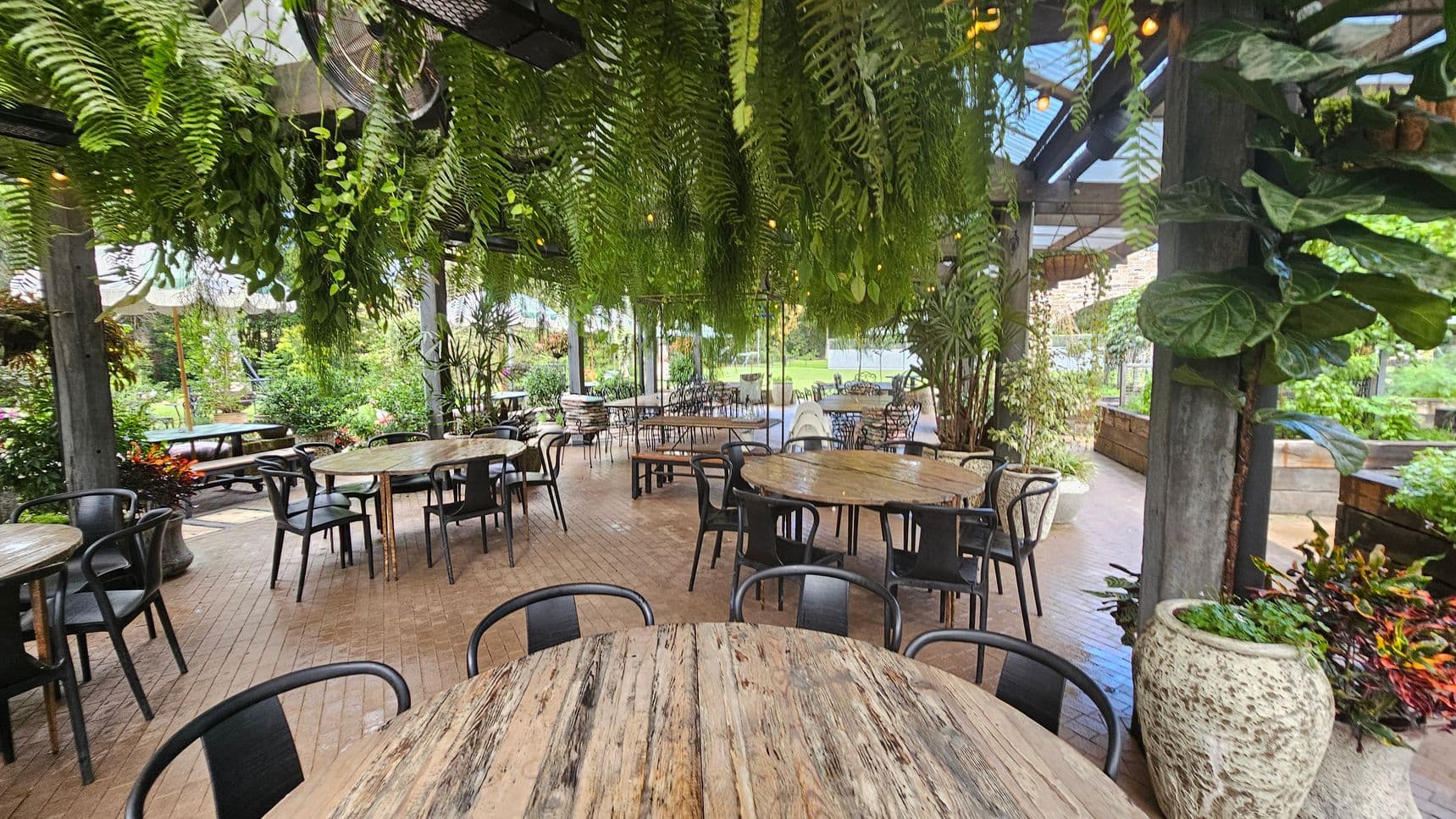 Outdoor seating area with round wooden tables and black chairs on a brick floor. Lush green ferns hang from the ceiling, creating a canopy effect. Large potted plants are placed around the space, adding to the greenery. In the background, more tables and chairs are visible, along with a view of a garden with various plants and trees. The ceiling is partially covered with transparent panels, allowing natural light to filter through.