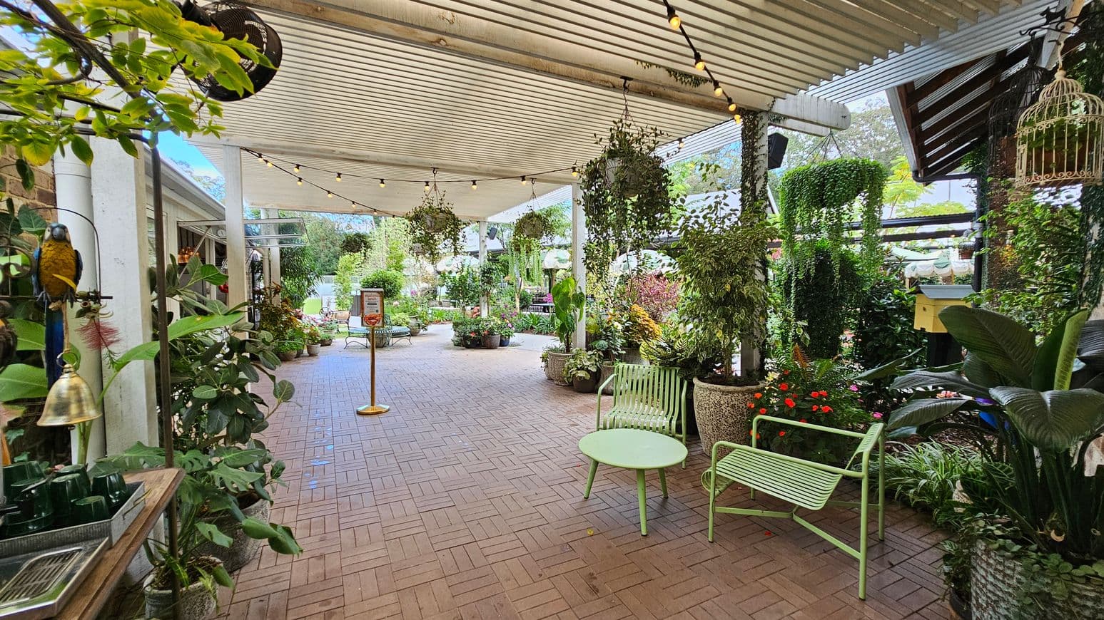 A covered outdoor area with a brick floor and a slatted ceiling adorned with string lights. On the left, a variety of potted plants and a decorative parrot on a stand. In the centre, a pathway leads to more greenery and a sign. On the right, a green metal chair and table set amidst lush plants and hanging baskets. The background features more plants and a partially visible building.