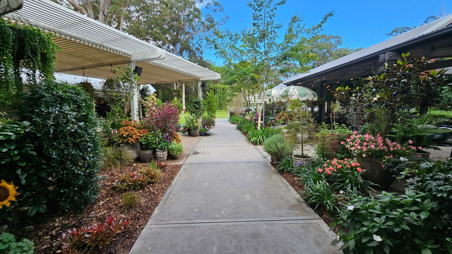 A garden pathway flanked by lush greenery and vibrant flowers. On the left, a pergola with hanging plants and a variety of potted shrubs and flowers. On the right, more potted plants and flowers, with a structure featuring a corrugated roof and decorative umbrellas. The path is concrete, bordered by mulch and plants. In the background, trees and more greenery are visible, creating a serene, natural setting.