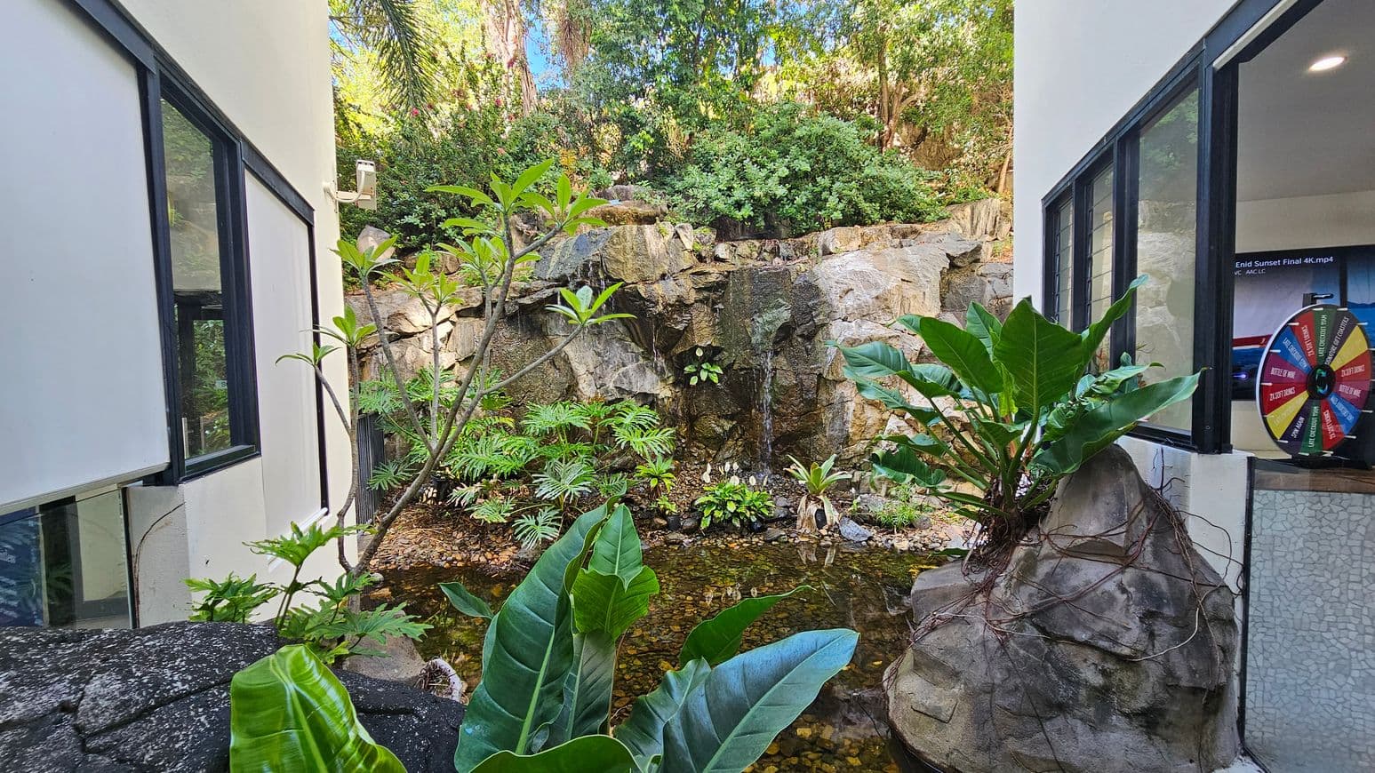 A small garden area with a rocky waterfall in the centre, surrounded by lush green plants. The water flows into a shallow pond with pebbles. On the left and right are white walls with large windows. Inside the right window, a colourful wheel is visible. The background is filled with dense foliage and trees, creating a natural, serene atmosphere.