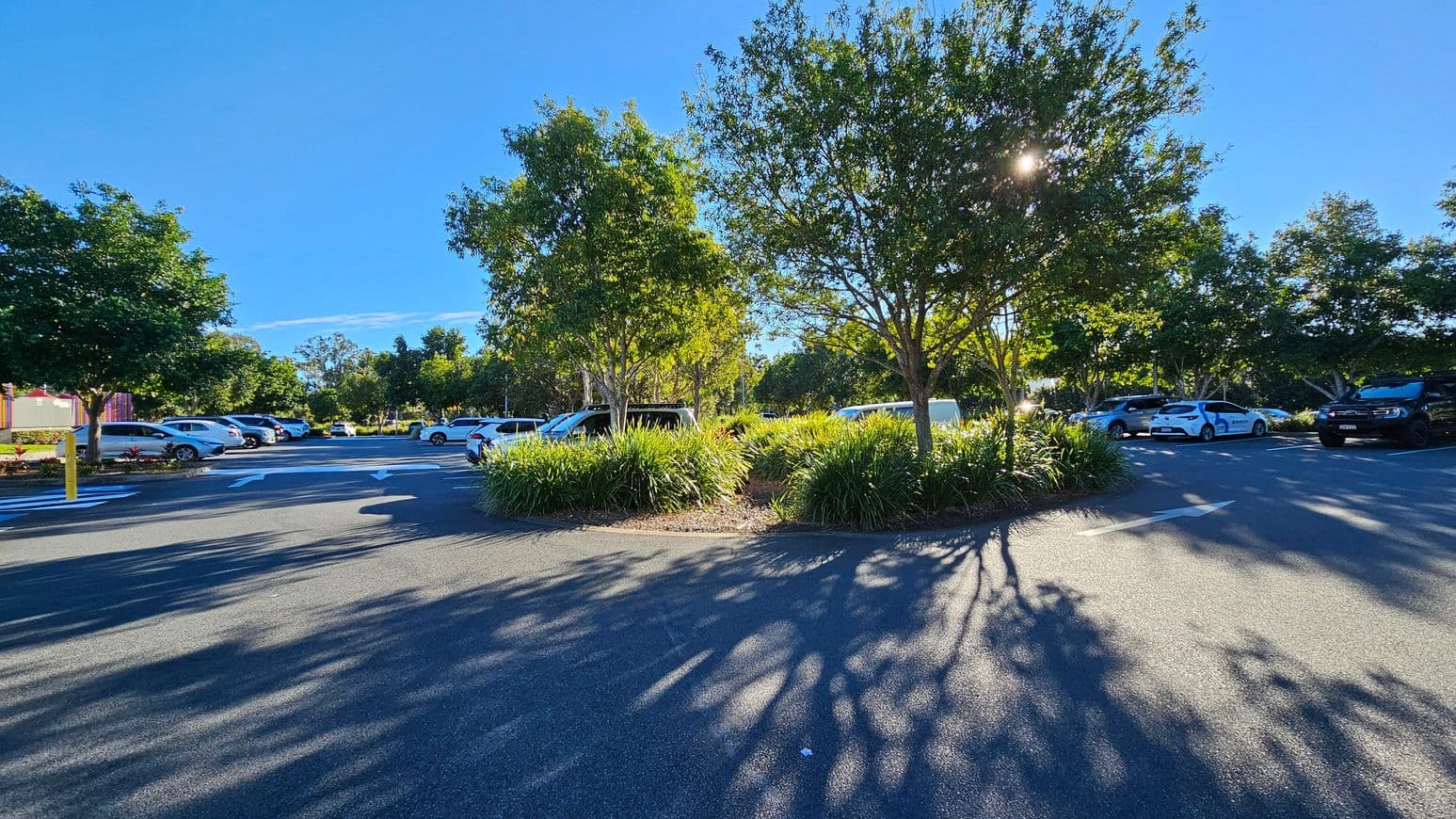A car park with several vehicles parked on both sides. In the centre, there are two trees surrounded by lush green shrubs. The ground is paved with asphalt, and the sunlight casts shadows of the trees and shrubs. The sky is clear and blue, and the area is bordered by more trees in the background.