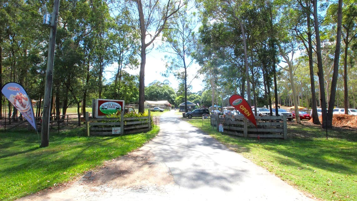A winding, cemented pathway surrounded by green grass on either side leads to the White Ridge Farm. At the entrance is the White Ridge Farm signboard with the farms