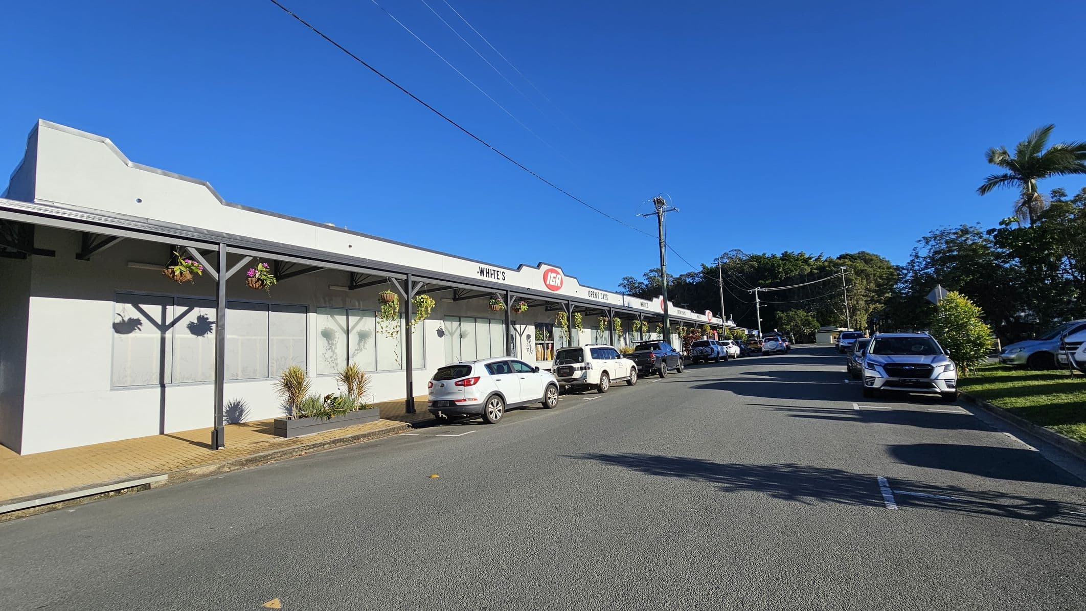 A row of shops with a white facade and a sign for IGA is on the left. Hanging plants and small shrubs decorate the front. Several cars are parked along the street, which runs parallel to the shops. On the right, more cars are parked on a grassy verge with trees and bushes in the background. A clear blue sky is overhead, and a power line runs across the scene.