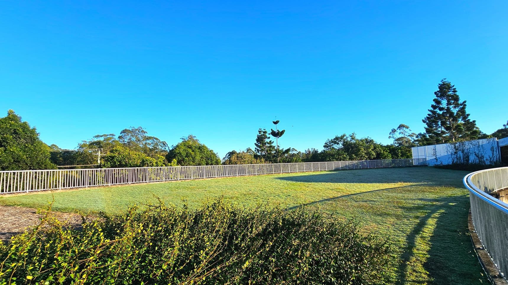 A grassy area bordered by a white metal railing curves gently to the right, leading to a corner with a tall tree and a white fence. The ground is covered with well-maintained grass, and a low hedge runs along the foreground. In the background, various trees and shrubs create a lush, green backdrop. The space feels open and expansive, with the railing providing a clear boundary.