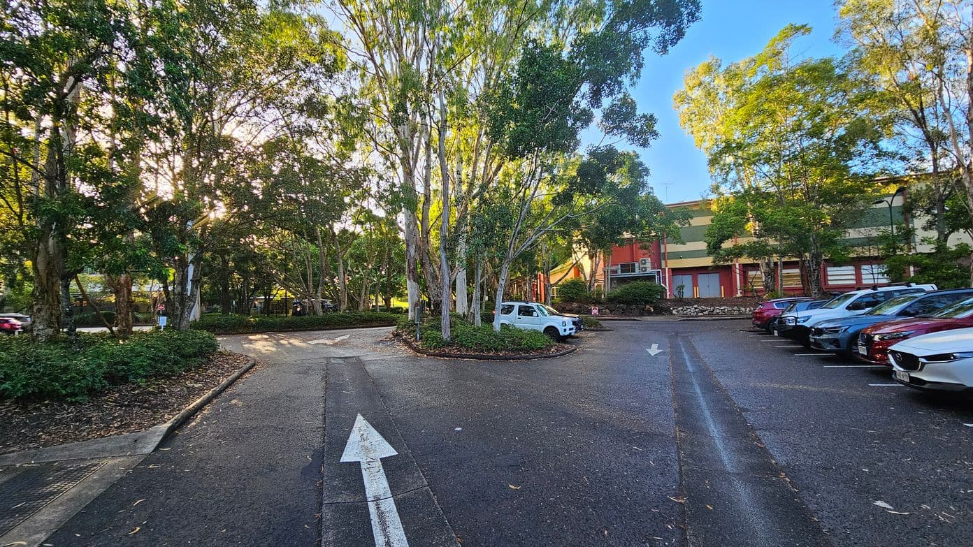 A car park with a central island of tall trees surrounded by parked cars. The surface is asphalt with white directional arrows painted on it. To the right, a row of cars is parked, including a white car near the trees. A building with a red and green facade is visible in the background. The area is open with trees providing partial enclosure.
