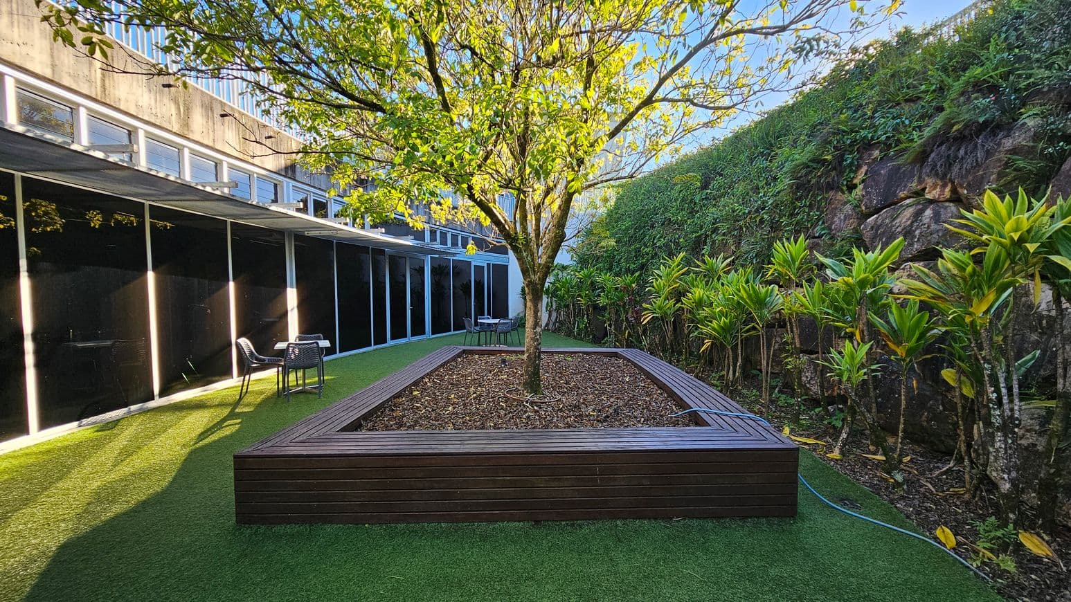 A courtyard features a central tree planted in a raised wooden planter filled with mulch. Surrounding the planter is artificial grass. To the left, a modern building with large glass windows and a concrete facade provides shade. On the right, a rock wall covered with lush greenery encloses the space. A few outdoor chairs and tables are scattered around, suggesting a seating area.