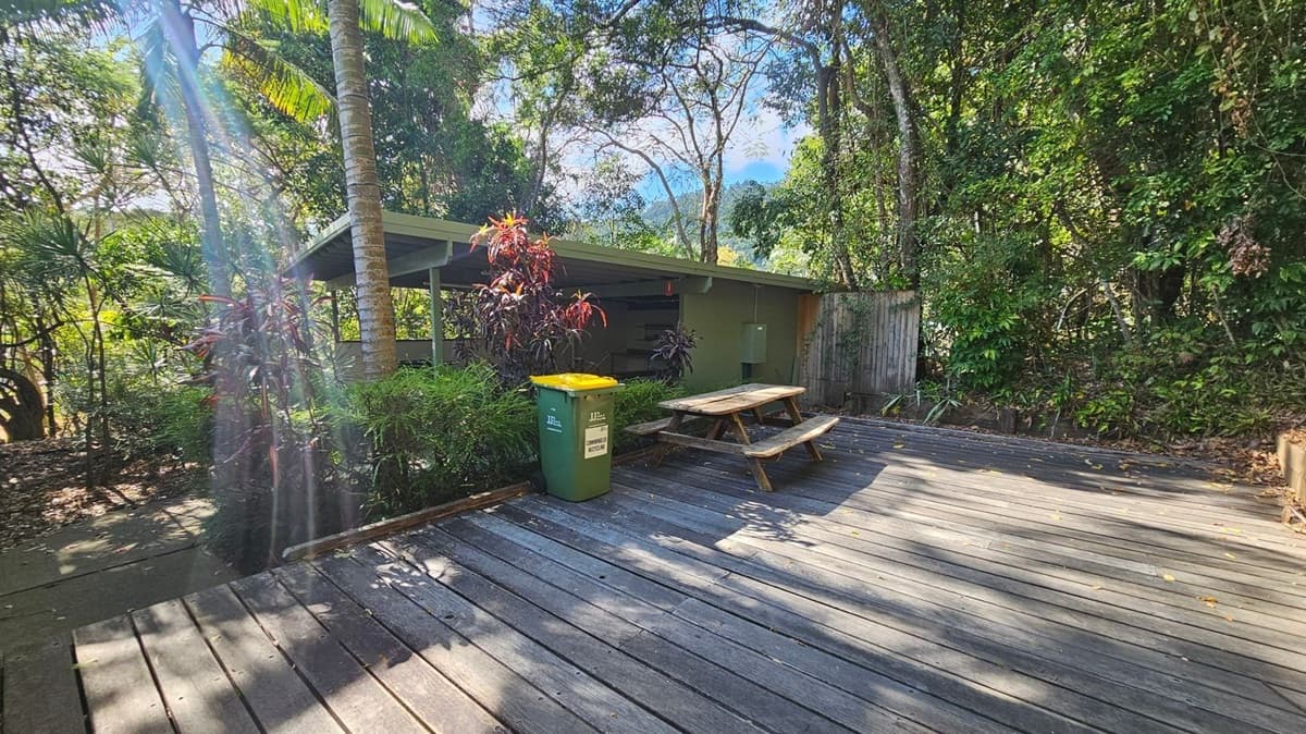 A wooden deck surrounded by dense greenery. On the left, a small structure with a slanted roof is partially visible, with a palm tree and various plants nearby. A green bin with a yellow lid stands next to a wooden picnic table on the deck. The background is filled with tall trees and foliage, creating a lush, forested setting. Sunlight filters through the trees, casting dappled shadows on the deck.