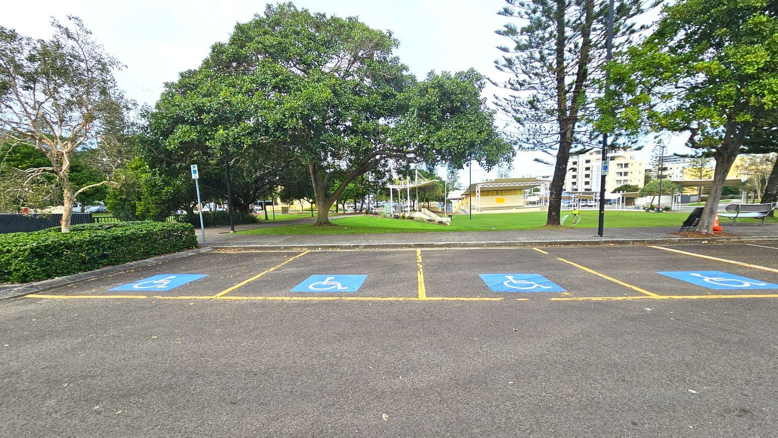A row of four marked disabled parking spaces with blue wheelchair symbols on the asphalt, bordered by yellow lines. Behind the parking area, a grassy park with large trees and a small playground structure is visible. A paved path runs through the park, and a few buildings can be seen in the background. The area is open with scattered trees providing some enclosure.