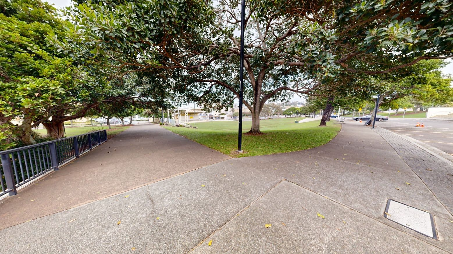 A park scene with a large tree at the centre, its branches spreading wide over a grassy area. Two paved paths diverge from the foreground, one leading left under a canopy of trees with a black metal railing, and the other curving right past a parking area with cars. A lamppost stands near the tree, and a distant bandstand is visible across the grass. The area feels open with a mix of grass and paved surfaces.
