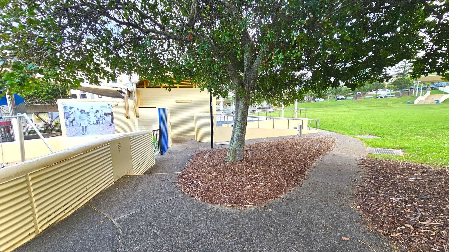 A curved pathway with a textured surface winds around a tree with dense foliage, leading to a building with corrugated walls and a blue door. A large historical photo is displayed on the wall. The area is bordered by a grassy lawn with a few scattered trees and a set of steps leading up to a higher level. Metal railings are visible near the building, and mulch surrounds the tree base.