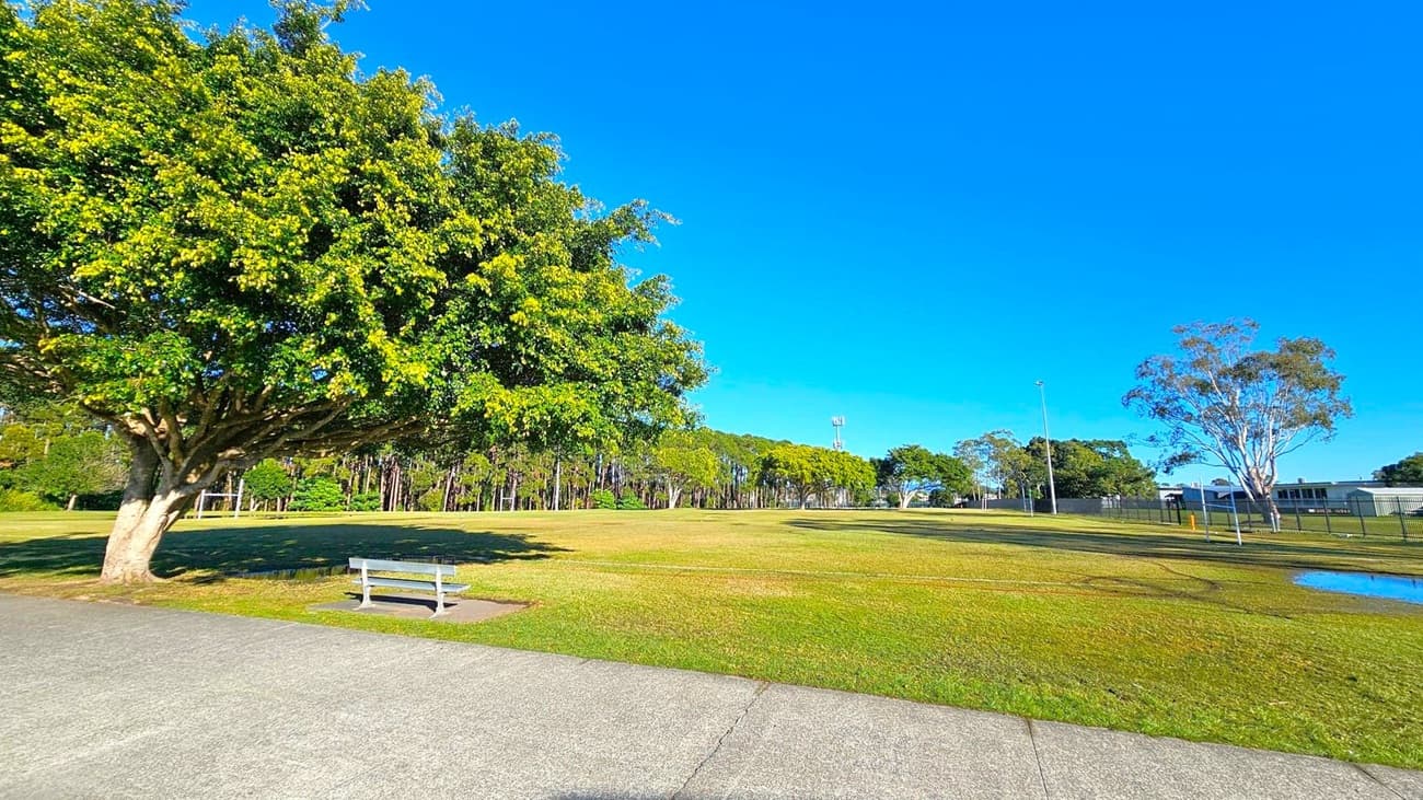 A large, leafy tree on the left with a wooden bench beneath it, set on a grassy area. In the middle, a wide expanse of grass stretches out, bordered by more trees in the distance. On the right, a few scattered trees and a metal fence are visible, with a small puddle on the grass. The foreground features a paved path.