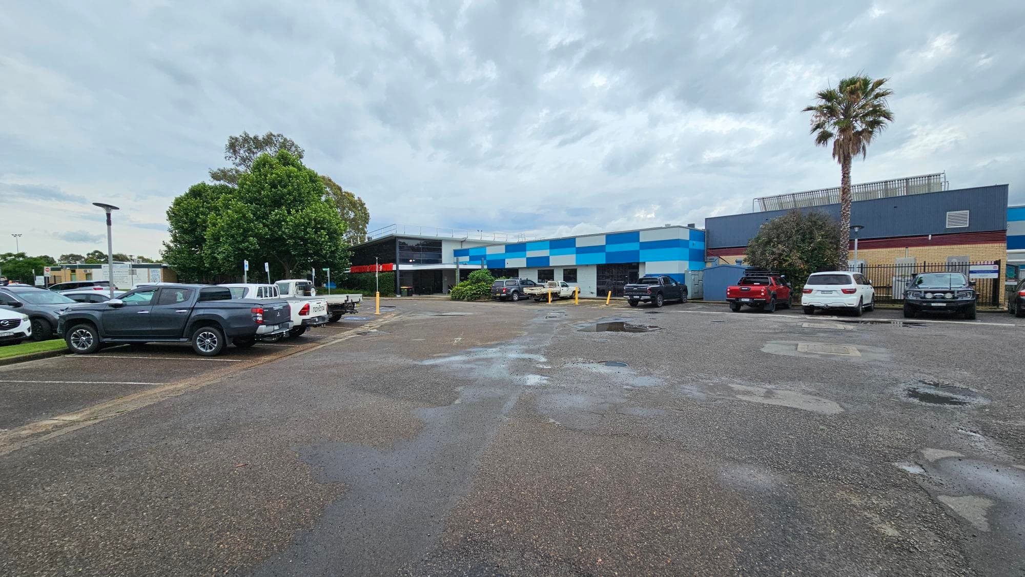 A car park with several vehicles, including a grey pickup and a white utility vehicle on the left. In the centre, a building with a blue and white checkered pattern is visible. On the right, a red car and a white SUV are parked near a palm tree. The ground is asphalt with some puddles, and there are trees and shrubs around the perimeter.