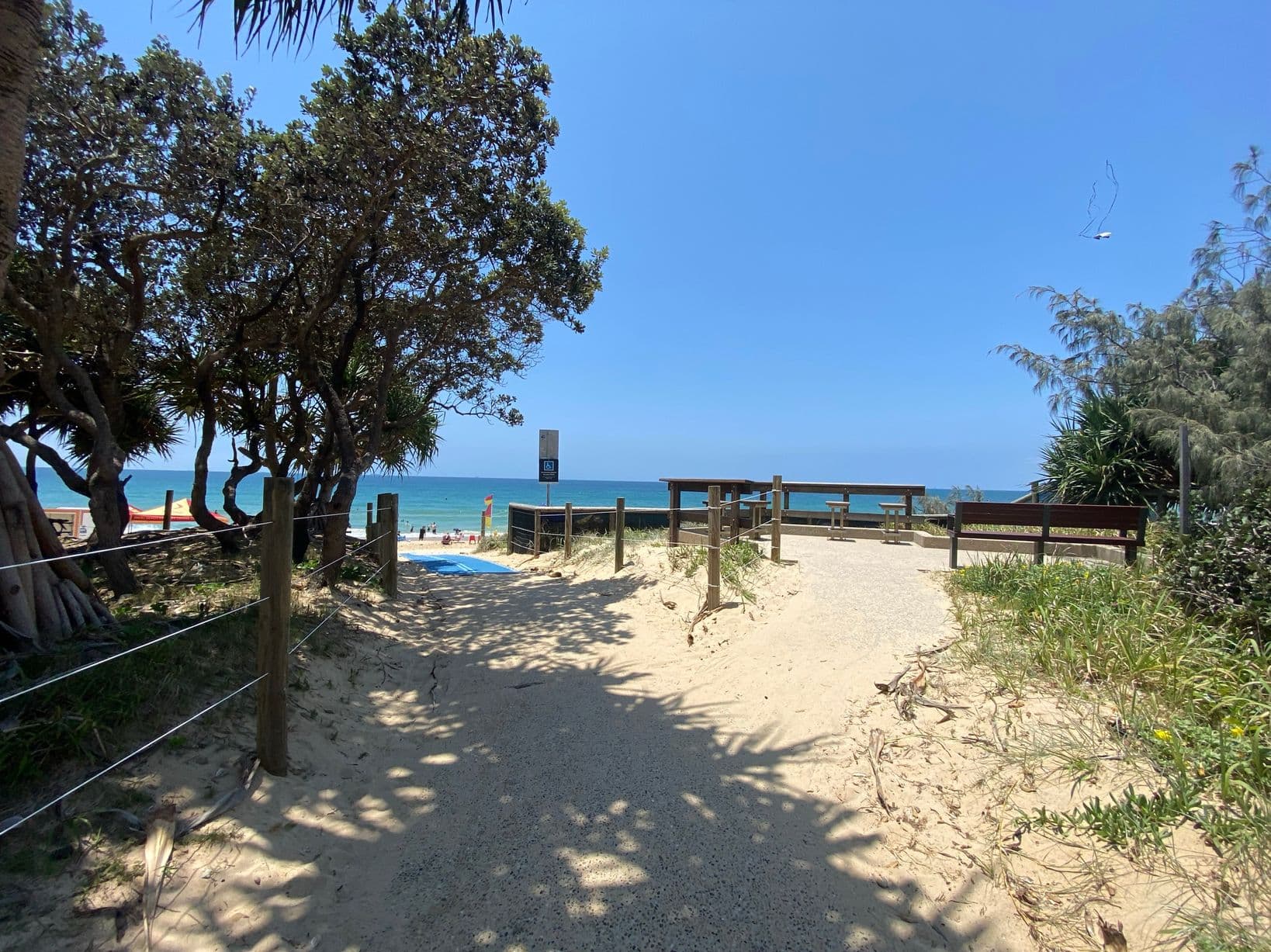 On the left, tall trees with thick foliage create partial shade over sandy ground bordered by wooden posts and thin wire fencing. On the right, low bushes and grasses grow along the edge of a sandy pathway, with a few trees leaning into view. In the middle, a wide sandy path leads to benches and wooden fencing overlooking the ocean. The floor is mostly sand with some scattered plants, and shadows from nearby trees fall across the pathway.