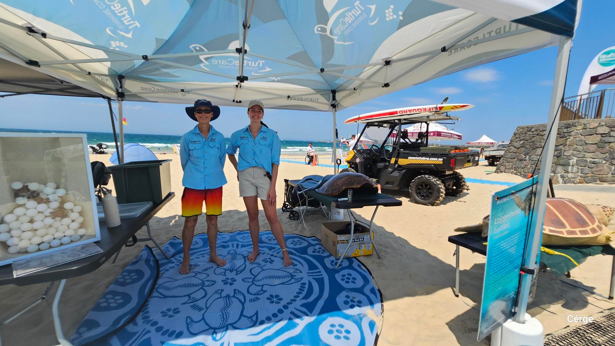 Two people in matching blue shirts stand on a circular blue mat with turtle and shell patterns, under a white canopy branded with “TurtleCare.” On the left, a table holds a clear display box with white eggs. On the right, a black and yellow lifeguard buggy is parked near a table with a model turtle shell. In the background, a stone retaining wall and beachgoers are visible. The floor is sandy, and the ceiling is the underside of the canopy with support poles.
