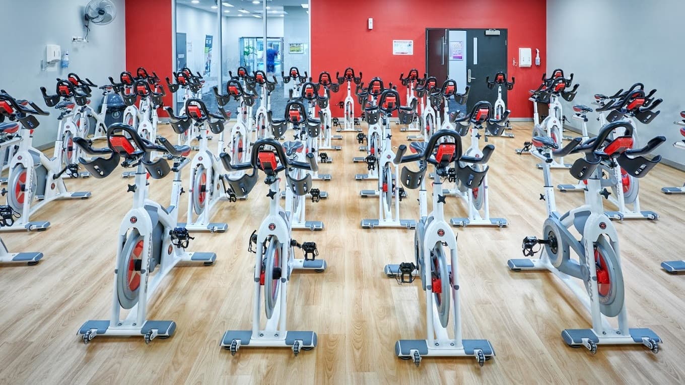 A spacious indoor cycling studio, symmetrically arranged with rows of stationary exercise bikes on both the left and right sides. Each bike is equipped with a red flywheel and a black saddle. The flooring is made of timber, and the far wall is painted red, featuring a black door and a section covered with mirrors. The left wall has light colours with a wall fan affixed.