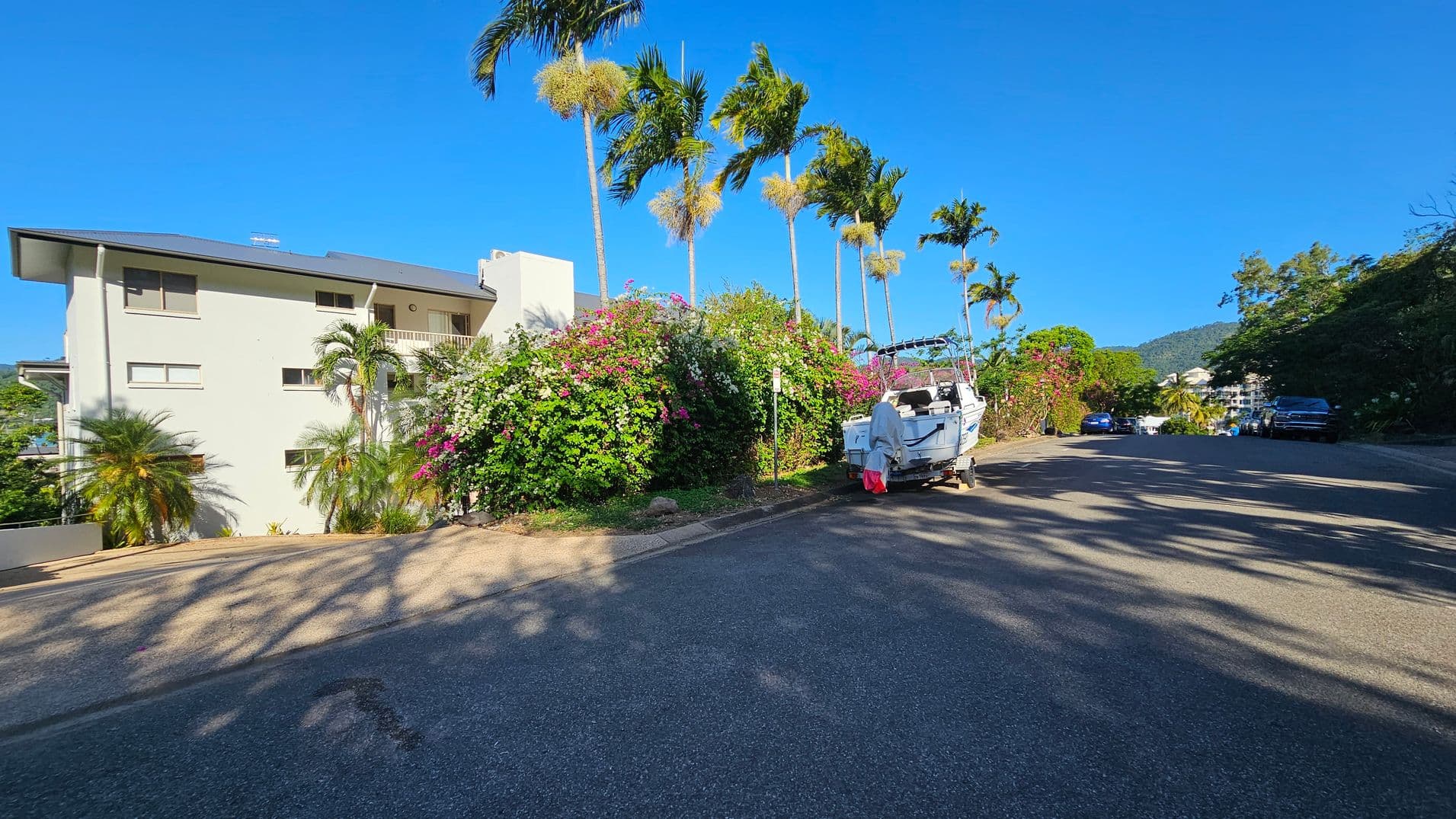 A residential street with a light-coloured house on the left, surrounded by palm trees and lush greenery with pink and white flowers. A boat is parked on the right side of the road, and several cars are visible further down the street. The road is shaded by the trees, and a mountain is visible in the background.