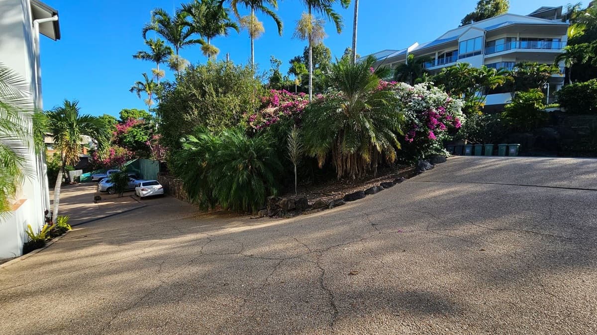 A sloped driveway with a cracked surface leads up to a residential area. On the left, a white building is partially visible with palm trees and parked cars in a small lot. In the centre, lush greenery and vibrant pink and white flowering bushes line the driveway. On the right, a modern multi-storey building is surrounded by more palm trees and greenery. Several green bins are lined up near the building.
