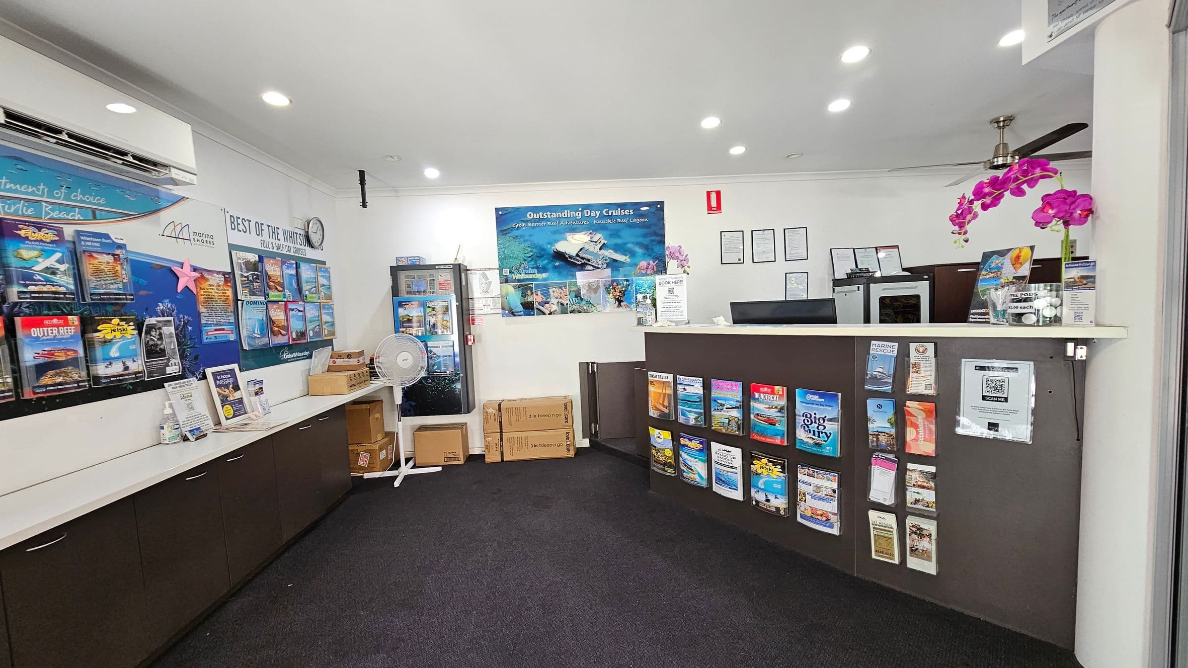 A travel agency office with a dark carpeted floor and white ceiling with recessed lights. On the left, a wall displays various travel brochures and posters. A white counter below holds more brochures and a fan. In the centre, a large poster advertises day cruises. The right side features a reception desk with additional brochures and a vase with purple flowers. Behind the desk are framed certificates and a small fridge. Cardboard boxes are stacked near the fan.