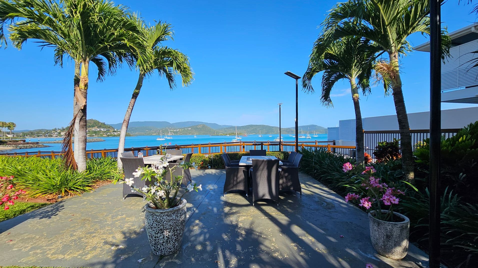 A patio with wicker furniture and tables is surrounded by lush greenery and potted plants with pink and white flowers. Two tall palm trees frame the view of a blue sea with sailboats in the distance. A wooden railing separates the patio from the water. A modern building with a white facade is partially visible on the right. The ground is paved with stone tiles, and a streetlamp stands near the seating area.