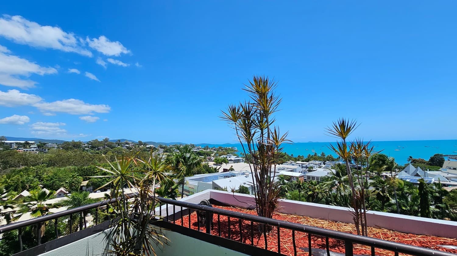 A rooftop view with a railing in the foreground, featuring potted plants with spiky leaves. Beyond the railing, there are residential buildings and lush green trees. In the background, a clear blue sea stretches across the horizon, dotted with small boats. The scene is bright and vibrant, with a clear sky above.