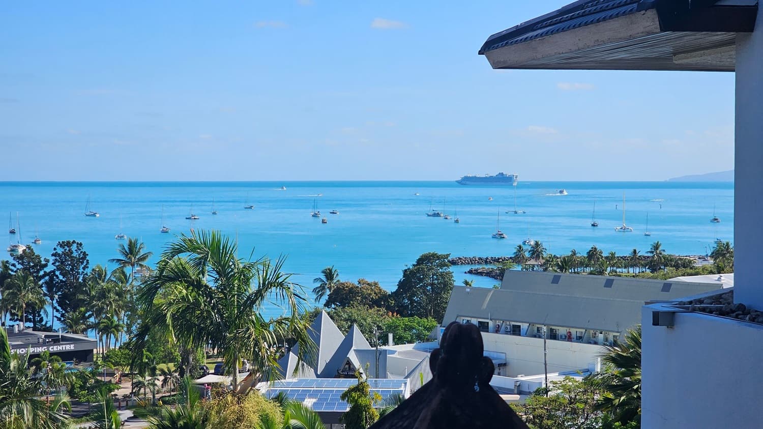 A view of a coastal area with a clear blue sea dotted with numerous small boats. In the distance, a large cruise ship is visible on the horizon. The foreground features lush green palm trees and a shopping centre with a visible sign. Buildings with angular roofs and solar panels are also present. The right side of the image shows part of a building with a sloped roof.