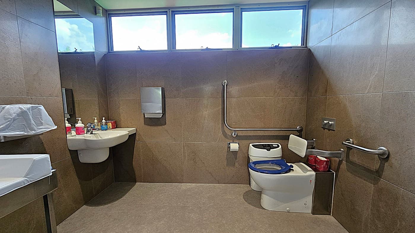 A public bathroom with brown tiled walls and a grey tiled floor. On the left, there's a sink with various soap dispensers and a mirror above it. A paper towel dispenser is mounted on the wall. On the right, there's a toilet with a blue seat, equipped with grab bars for accessibility. A toilet paper holder and a small bin are nearby. High windows near the ceiling allow natural light into the room.