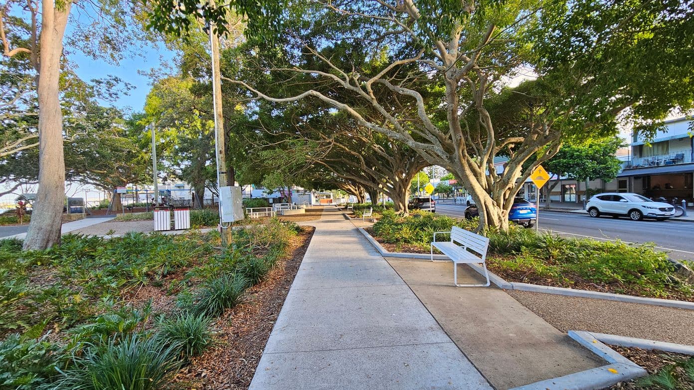 A pathway lined with white benches runs through a park area. On the left, there are large trees with thick trunks and lush green foliage, along with a grassy area and a utility pole. On the right, more trees provide shade, and a road with parked cars is visible. A yellow pedestrian crossing sign is near the road. The ground is a mix of concrete and mulch, with various plants and shrubs along the path. Buildings are visible in the background across the street.