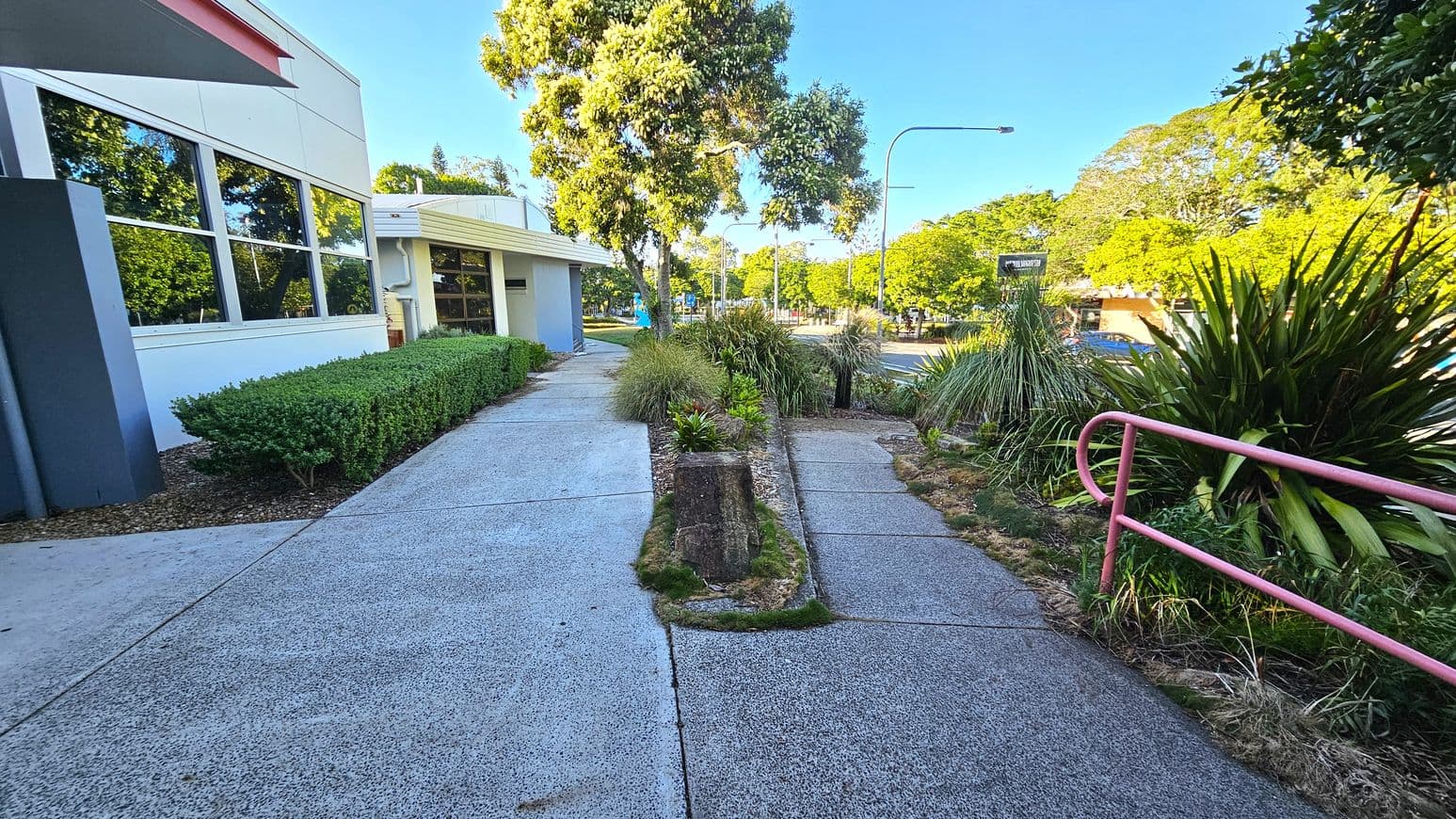A concrete pathway splits into two, bordered by low hedges on the left and tall grasses on the right. A white building with large windows is on the left, reflecting greenery. A red handrail runs along the right path. Trees and shrubs are scattered throughout, with a road visible in the background. The sky is clear, and the area is well-lit, suggesting daytime.