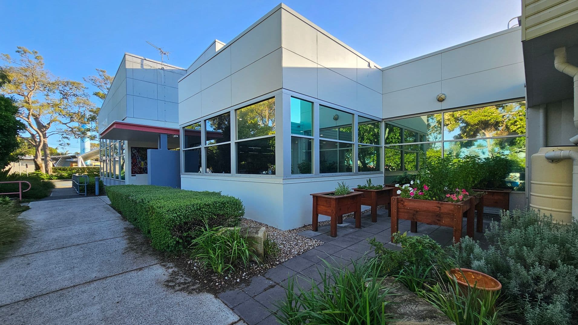 A modern building with large windows and a white exterior. On the right, there are wooden planters with various plants and flowers. The foreground features a paved path and neatly trimmed hedges. To the left, a concrete walkway leads past more greenery. In the background, tall trees are visible, and a water tank is attached to the building on the right. The scene is well-lit, suggesting a sunny day.