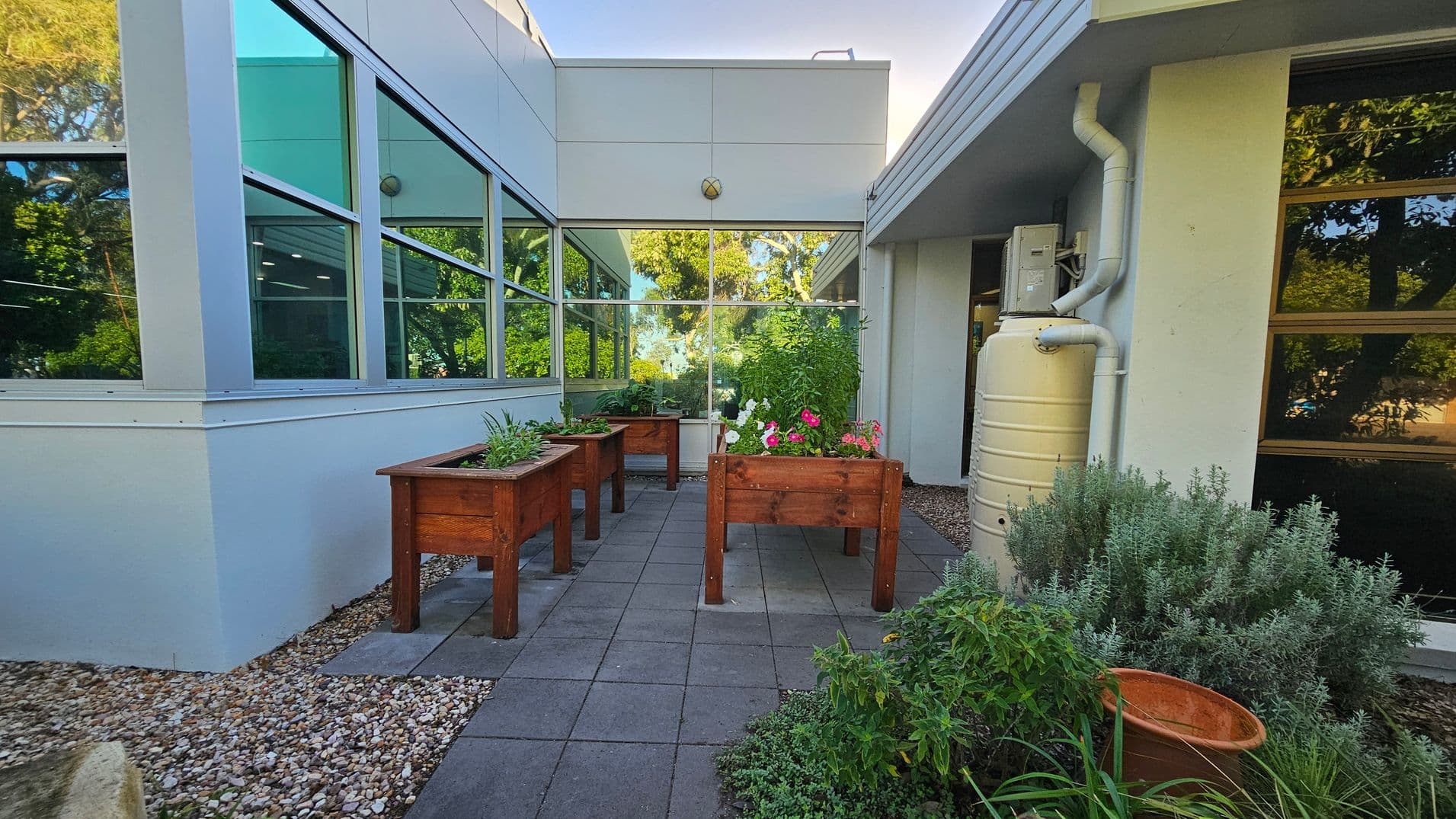 A small courtyard with raised wooden planters filled with various plants and flowers. The ground is covered with square paving stones and bordered by gravel. On the right, a beige water tank is attached to the building, with a downpipe leading into it. The building has large windows reflecting greenery. In the foreground, there are additional plants and an empty terracotta pot. The area is surrounded by trees and shrubs, visible through the windows.