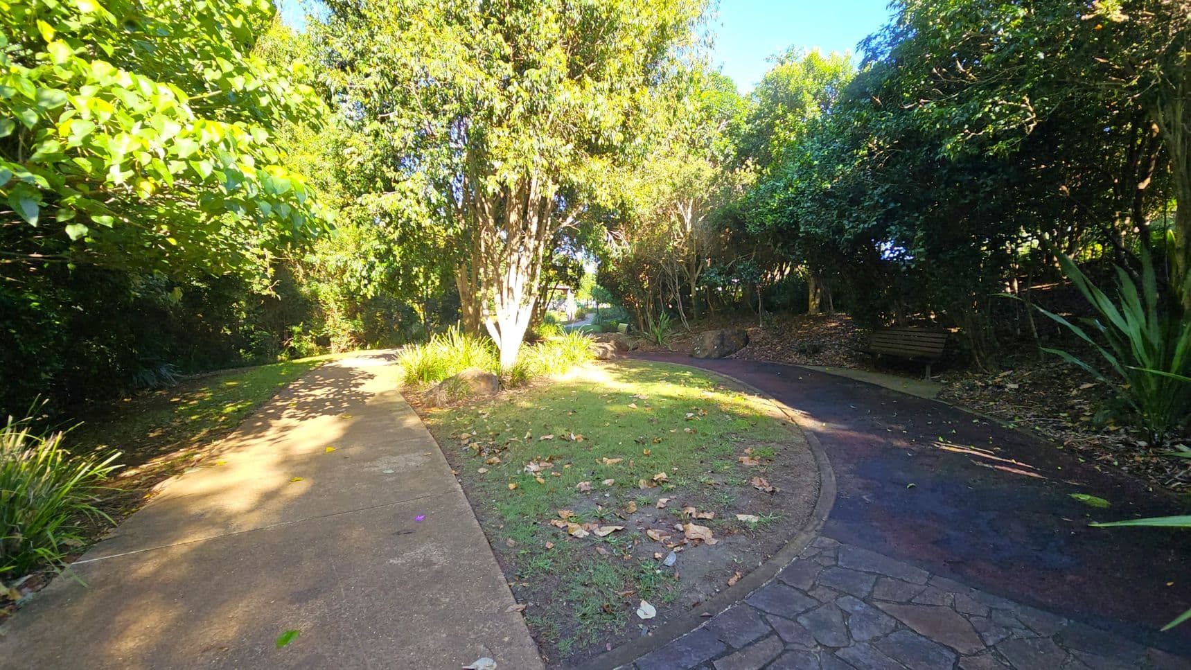 A garden path splits into two directions. On the left, a concrete path is bordered by lush green foliage and trees. On the right, a darker, paved path curves gently, with a wooden bench nestled among dense greenery. The centre features a grassy area with scattered leaves and a prominent tree. The background is filled with more trees and plants, creating a serene, shaded environment.