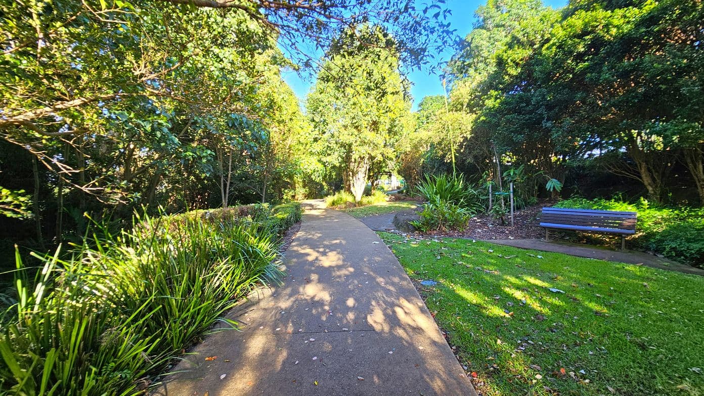 A winding concrete path runs through a lush, green park. On the left, dense foliage and tall grasses line the path. On the right, a wooden bench sits on a patch of grass, surrounded by more greenery and trees. Sunlight filters through the leaves, casting dappled shadows on the path. In the centre, a large tree stands prominently, with more trees and plants in the background.