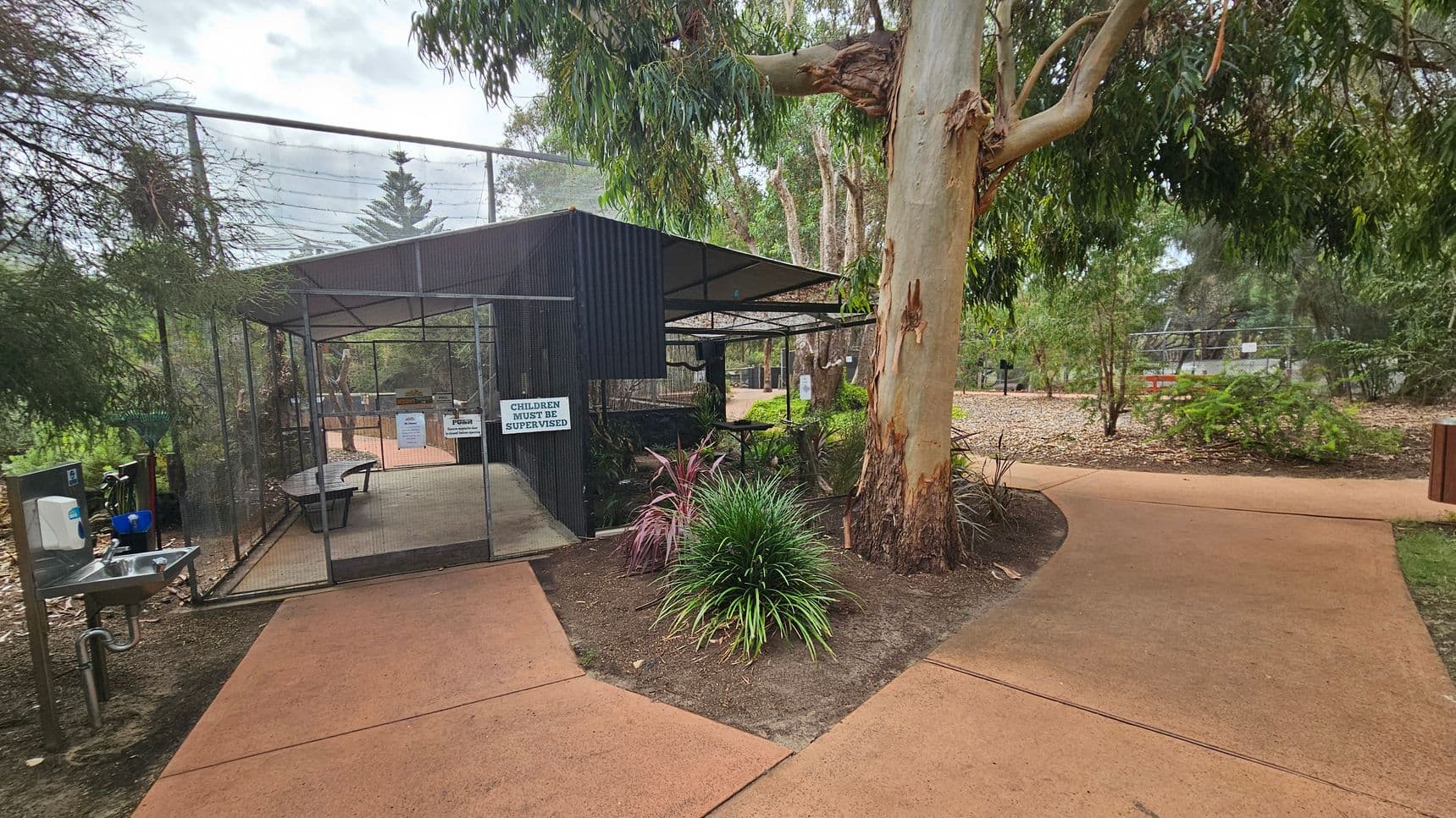 A pathway leads to a fenced enclosure on the left, with signs indicating supervision is required. Inside, there are benches and a few plants. A handwashing station is positioned outside the enclosure. On the right, a large tree stands beside the path, surrounded by various shrubs and greenery. The background features more trees and another enclosure. The ground is covered with reddish-brown paving, and the area is surrounded by natural vegetation.