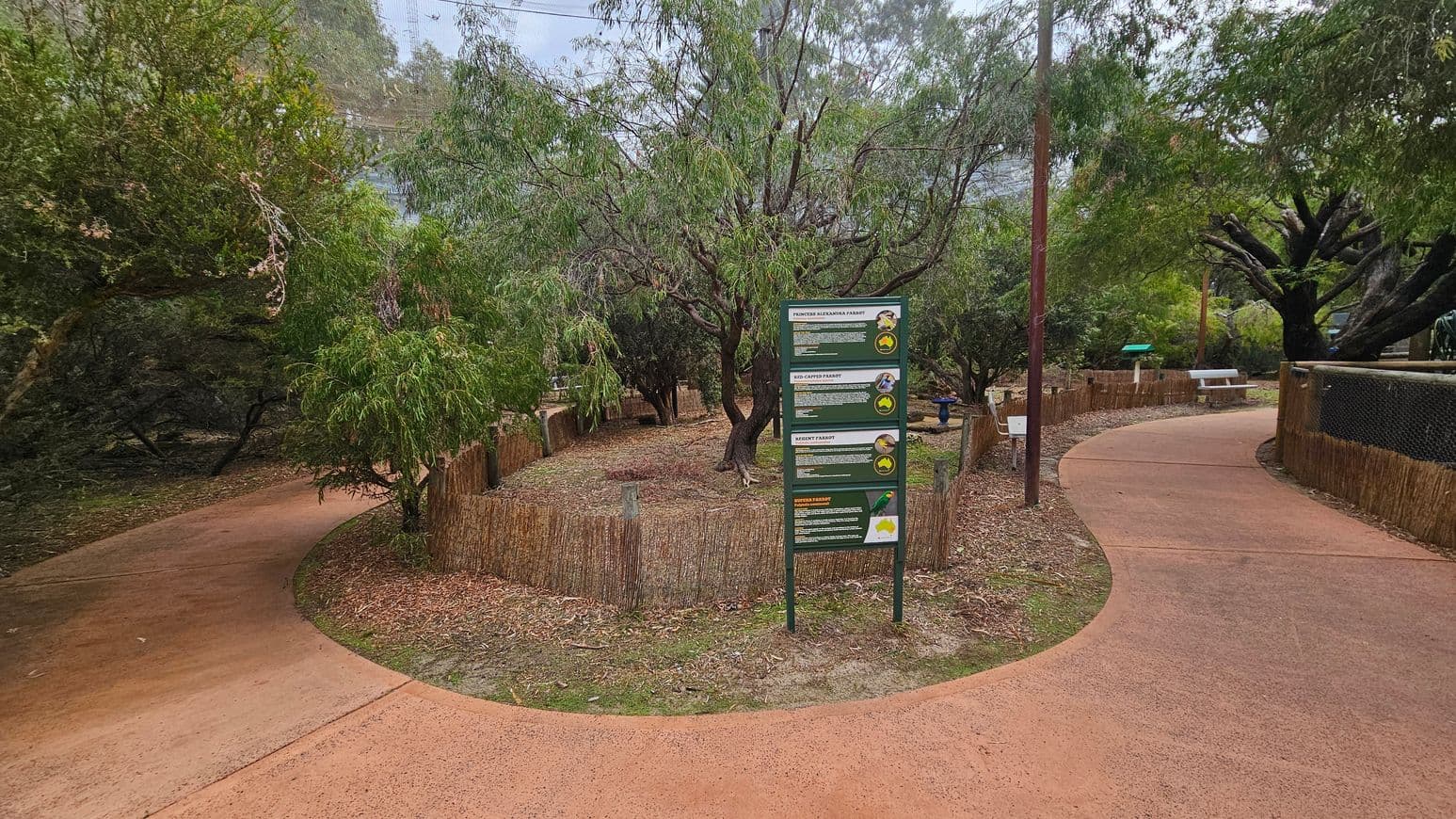 A pathway splits into two directions, with a signpost in the centre providing information about different types of parrots. The path is bordered by low wooden fences and surrounded by dense greenery, including various trees and shrubs. On the right, a white bench is visible along the path. The ground is covered with fallen leaves, and the path is made of reddish-brown concrete. The area appears to be part of a park or nature reserve.